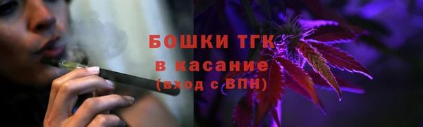 молекула духа Белокуриха