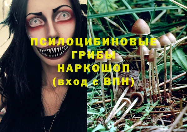 винт Беломорск