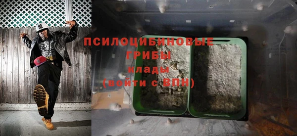 молекула духа Белокуриха